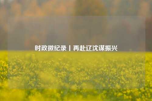 时政微纪录丨再赴辽沈谋振兴