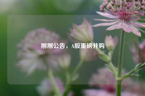 刚刚公告，A股重磅并购