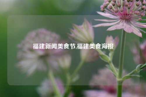 福建新闻美食节,福建美食海报