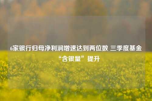 6家银行归母净利润增速达到两位数 三季度基金“含银量”提升