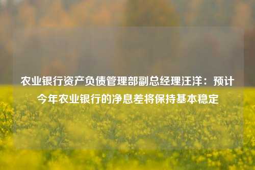 农业银行资产负债管理部副总经理汪洋：预计今年农业银行的净息差将保持基本稳定