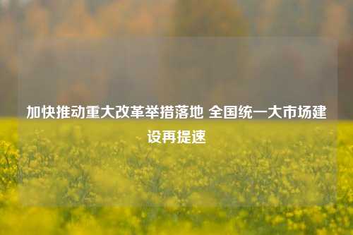 加快推动重大改革举措落地 全国统一大市场建设再提速