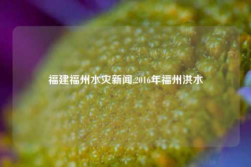 福建福州水灾新闻,2016年福州洪水