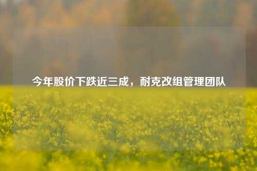 今年股价下跌近三成，耐克改组管理团队