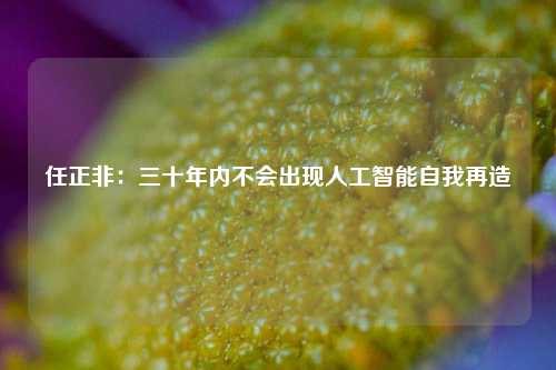 任正非：三十年内不会出现人工智能自我再造