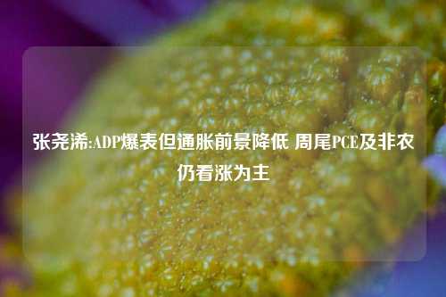 张尧浠:ADP爆表但通胀前景降低 周尾PCE及非农仍看涨为主