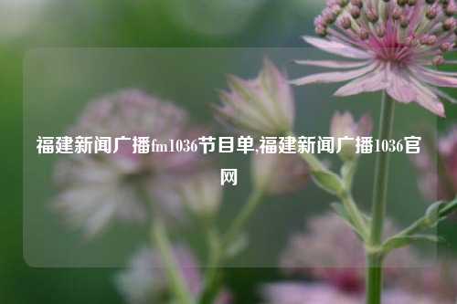 福建新闻广播fm1036节目单,福建新闻广播1036官网