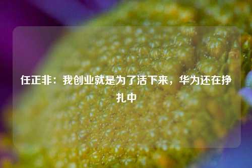 任正非：我创业就是为了活下来，华为还在挣扎中