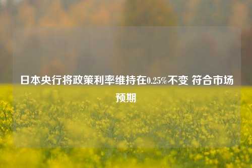 日本央行将政策利率维持在0.25%不变 符合市场预期