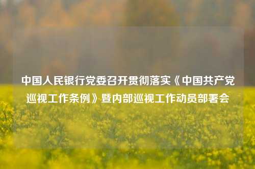 中国人民银行党委召开贯彻落实《中国共产党巡视工作条例》暨内部巡视工作动员部署会