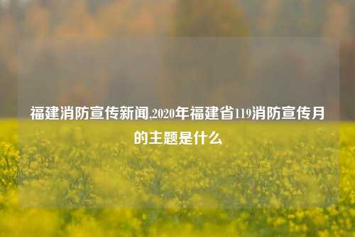 福建消防宣传新闻,2020年福建省119消防宣传月的主题是什么