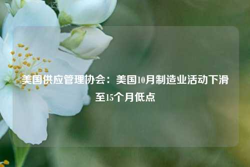 美国供应管理协会：美国10月制造业活动下滑至15个月低点