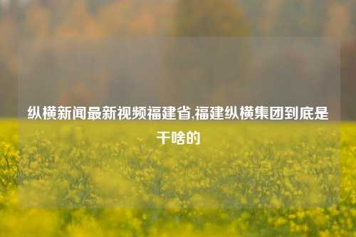 纵横新闻最新视频福建省,福建纵横集团到底是干啥的