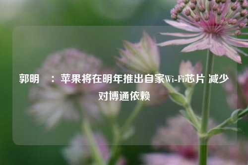 郭明錤：苹果将在明年推出自家Wi-Fi芯片 减少对博通依赖