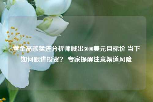 黄金高歌猛进分析师喊出3000美元目标价 当下如何跟进投资？ 专家提醒注意渠道风险