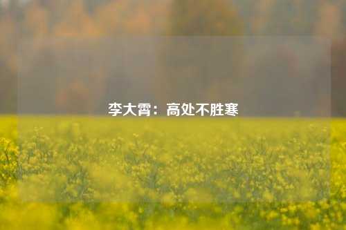 李大霄：高处不胜寒