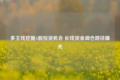 多主线挖掘A股投资机会 长线资金调仓路径曝光