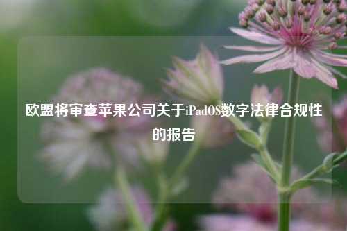 欧盟将审查苹果公司关于iPadOS数字法律合规性的报告