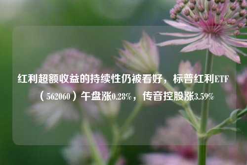 红利超额收益的持续性仍被看好，标普红利ETF（562060）午盘涨0.28%，传音控股涨3.59%