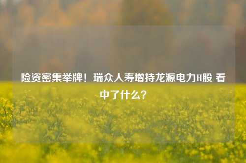 险资密集举牌！瑞众人寿增持龙源电力H股 看中了什么？