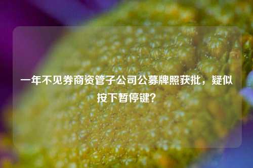 一年不见券商资管子公司公募牌照获批，疑似按下暂停键？