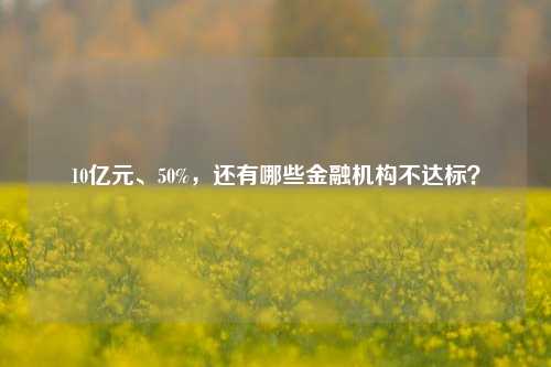 10亿元、50%，还有哪些金融机构不达标？