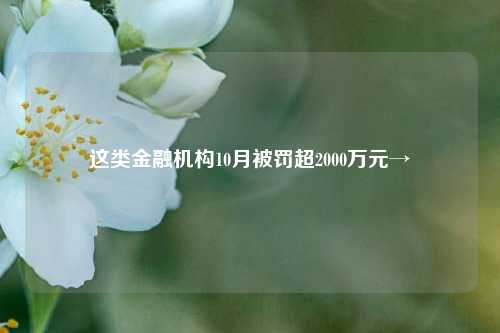 这类金融机构10月被罚超2000万元→