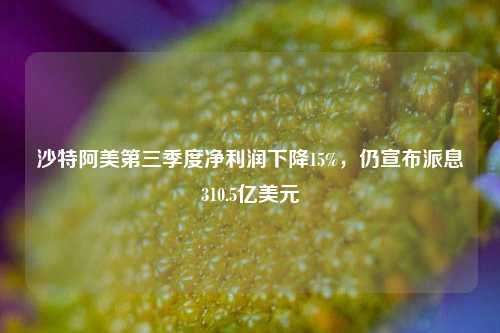 沙特阿美第三季度净利润下降15%，仍宣布派息310.5亿美元