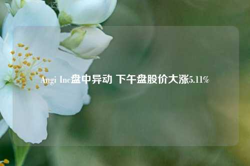 Angi Inc盘中异动 下午盘股价大涨5.11%