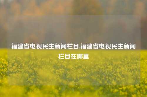 福建省电视民生新闻栏目,福建省电视民生新闻栏目在哪里