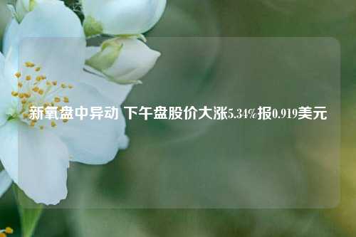 新氧盘中异动 下午盘股价大涨5.34%报0.919美元