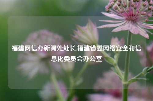 福建网信办新闻处处长,福建省委网络安全和信息化委员会办公室