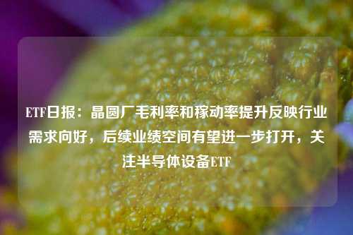 ETF日报：晶圆厂毛利率和稼动率提升反映行业需求向好，后续业绩空间有望进一步打开，关注半导体设备ETF