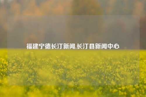 福建宁德长汀新闻,长汀县新闻中心