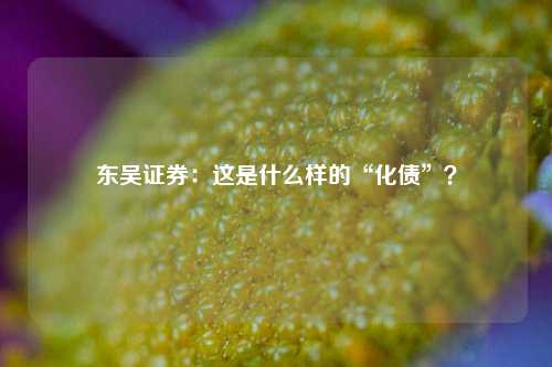 东吴证券：这是什么样的“化债”？