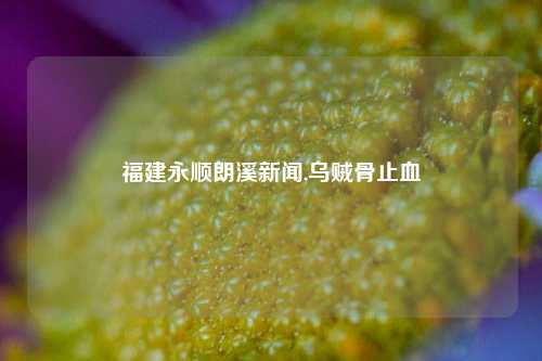 福建永顺朗溪新闻,乌贼骨止血