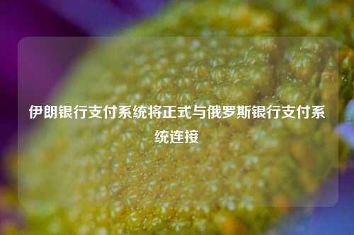 伊朗银行支付系统将正式与俄罗斯银行支付系统连接