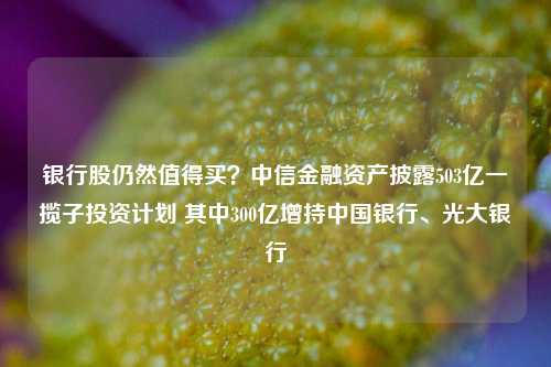 银行股仍然值得买？中信金融资产披露503亿一揽子投资计划 其中300亿增持中国银行、光大银行