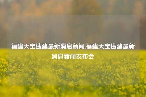 福建天宝违建最新消息新闻,福建天宝违建最新消息新闻发布会