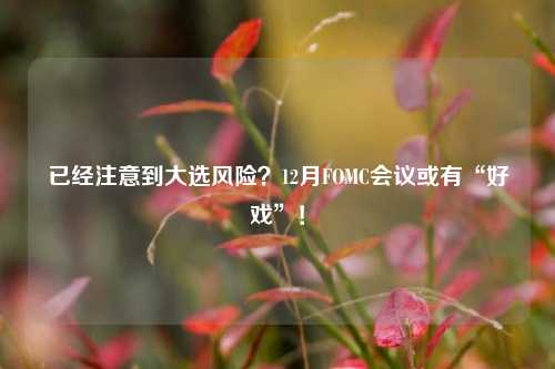 已经注意到大选风险？12月FOMC会议或有“好戏”！