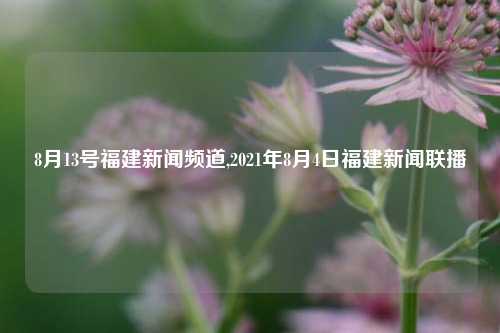 8月13号福建新闻频道,2021年8月4日福建新闻联播