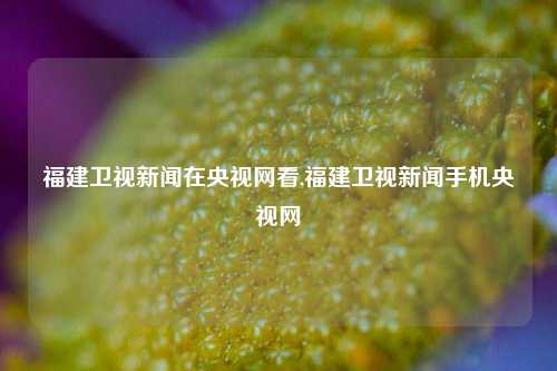 福建卫视新闻在央视网看,福建卫视新闻手机央视网