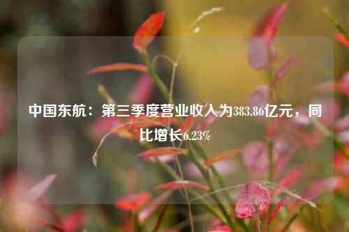 中国东航：第三季度营业收入为383.86亿元，同比增长6.23%