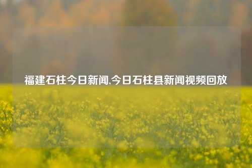 福建石柱今日新闻,今日石柱县新闻视频回放