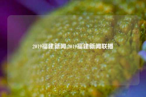 2019福建新闻,2019福建新闻联播