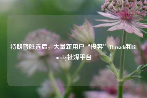 特朗普胜选后，大量新用户“投奔”Threads和Bluesky社媒平台