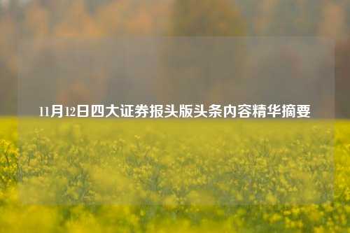 11月12日四大证券报头版头条内容精华摘要