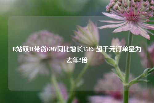 B站双11带货GMV同比增长154% 超千元订单量为去年2倍