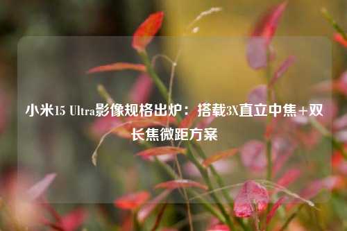 小米15 Ultra影像规格出炉：搭载3X直立中焦+双长焦微距方案