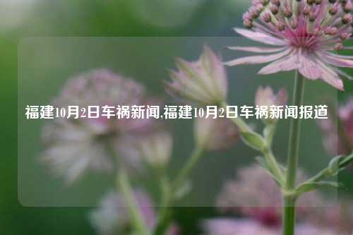 福建10月2日车祸新闻,福建10月2日车祸新闻报道